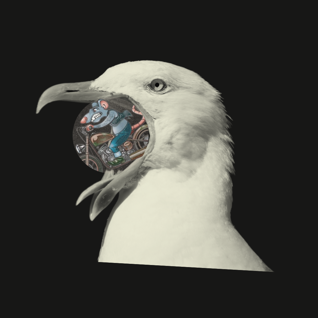 O2R — gaivota